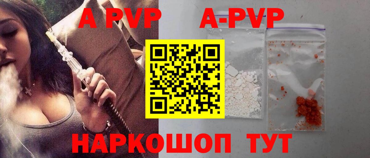 A PVP СК Электрогорск