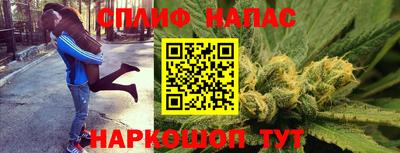 mdpv Можга