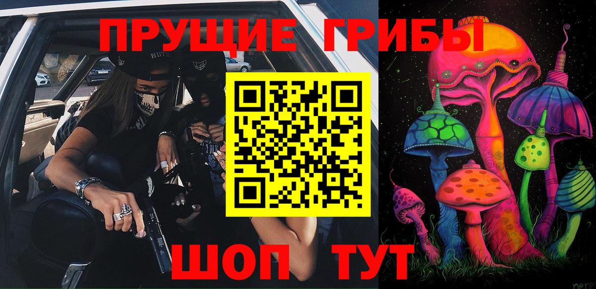 Электрогорск  Галлюциногенные грибы прущие грибы  Вход с VPN 